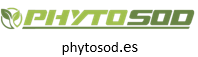 consultoria seo phytosod