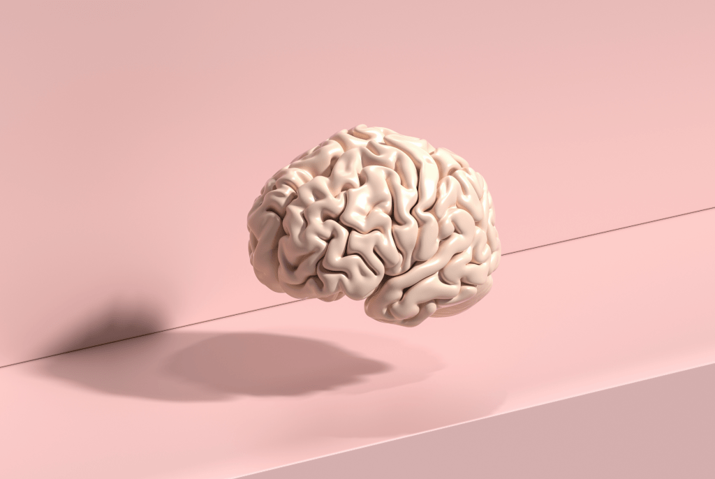 servicios de seo para psicologas