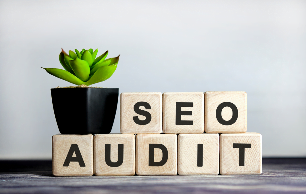 que influyen en el precio de una auditoria seo